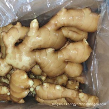 China fresh ginger root for sale